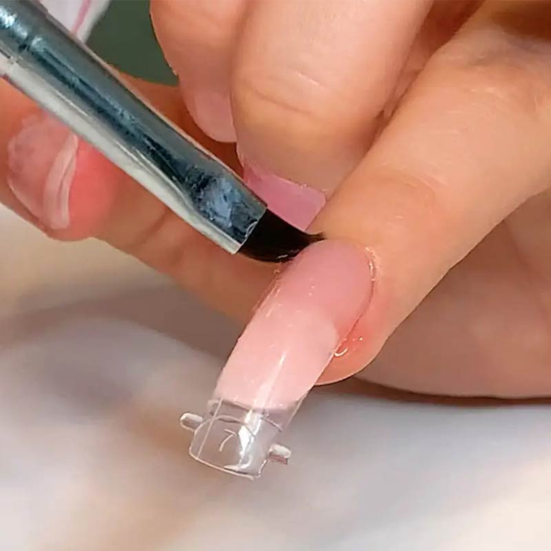 poly gel | Survey