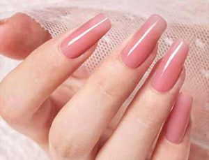 Poly Gel bulk distributors | Susansay