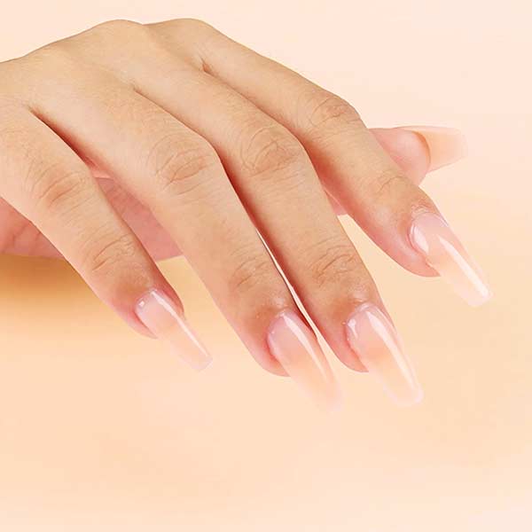Professional supplier of Color Builder Gel | Susansay