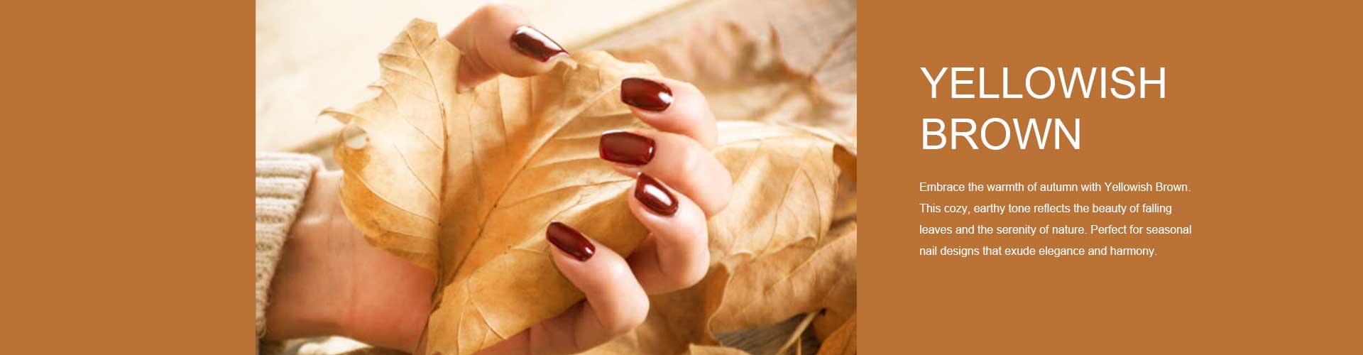 private label brown gel polish, | Susansay